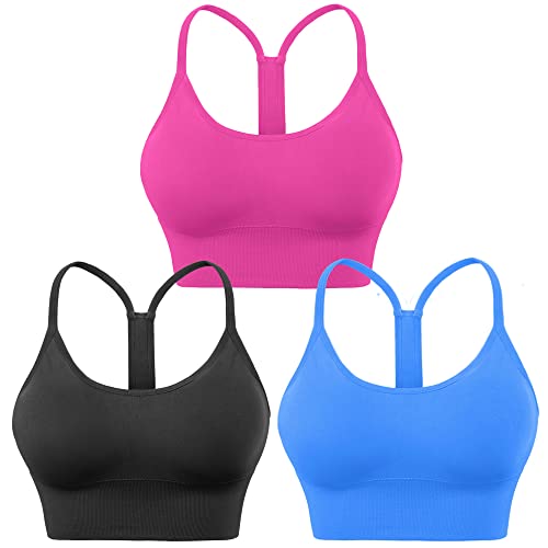 Black Blue Rose Red 3pack