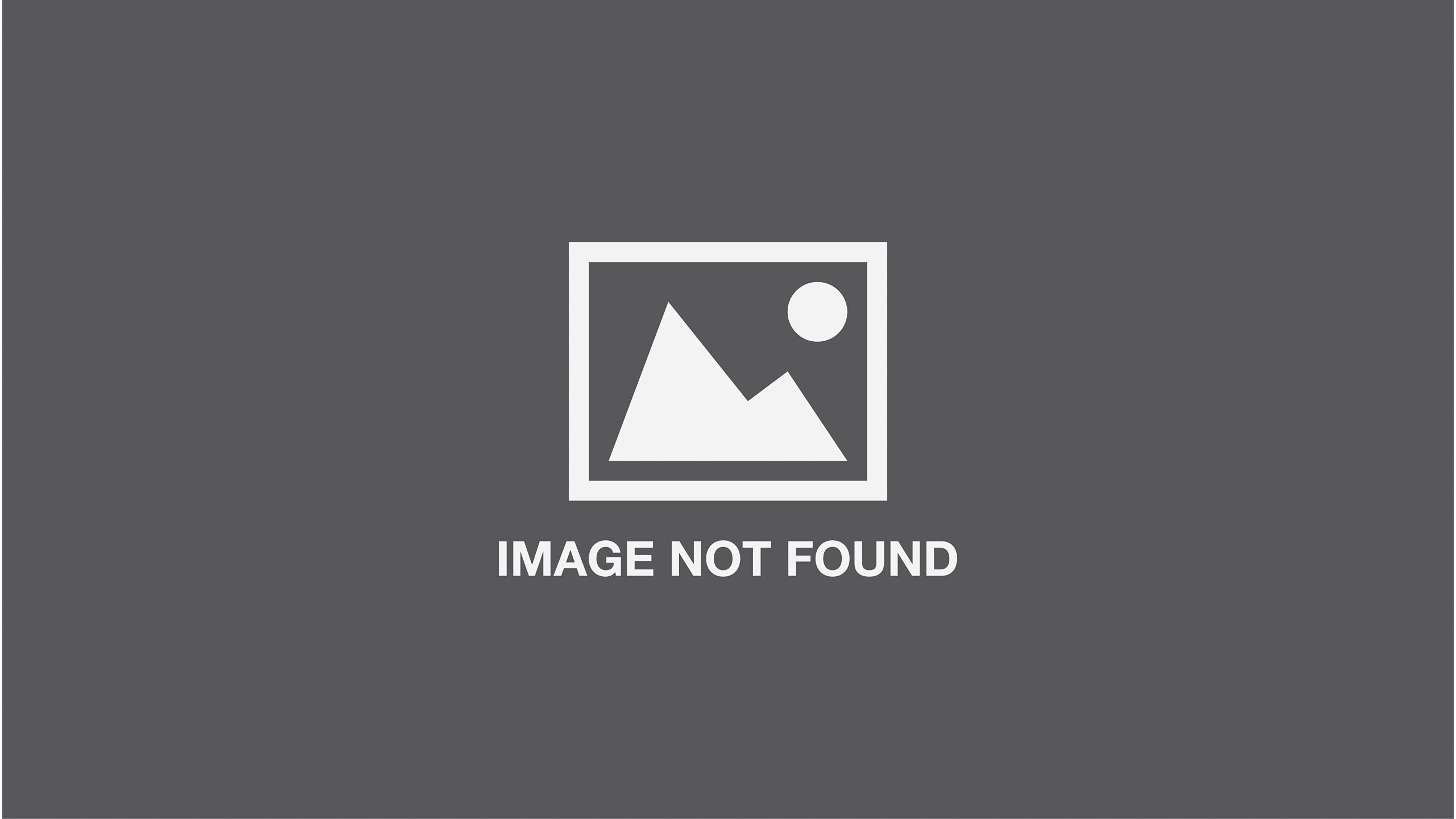 Transformers Robots in Disguise Action Figures - Collectible Toy Set for Kids & Adults | Perfect for Playtime, Display & Gifting | My Play World Adventure Series
