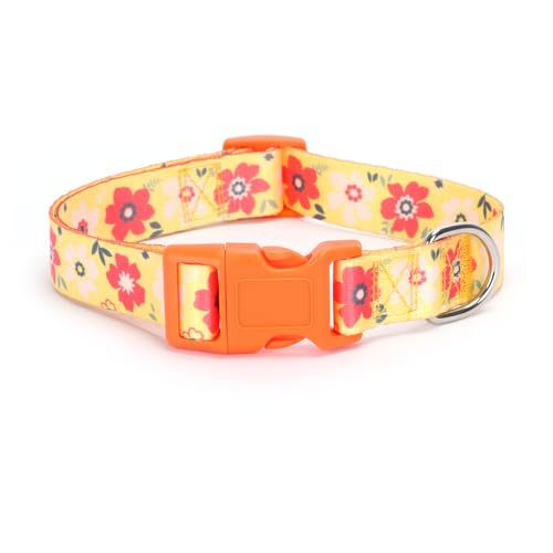 27.Yellow Daisy