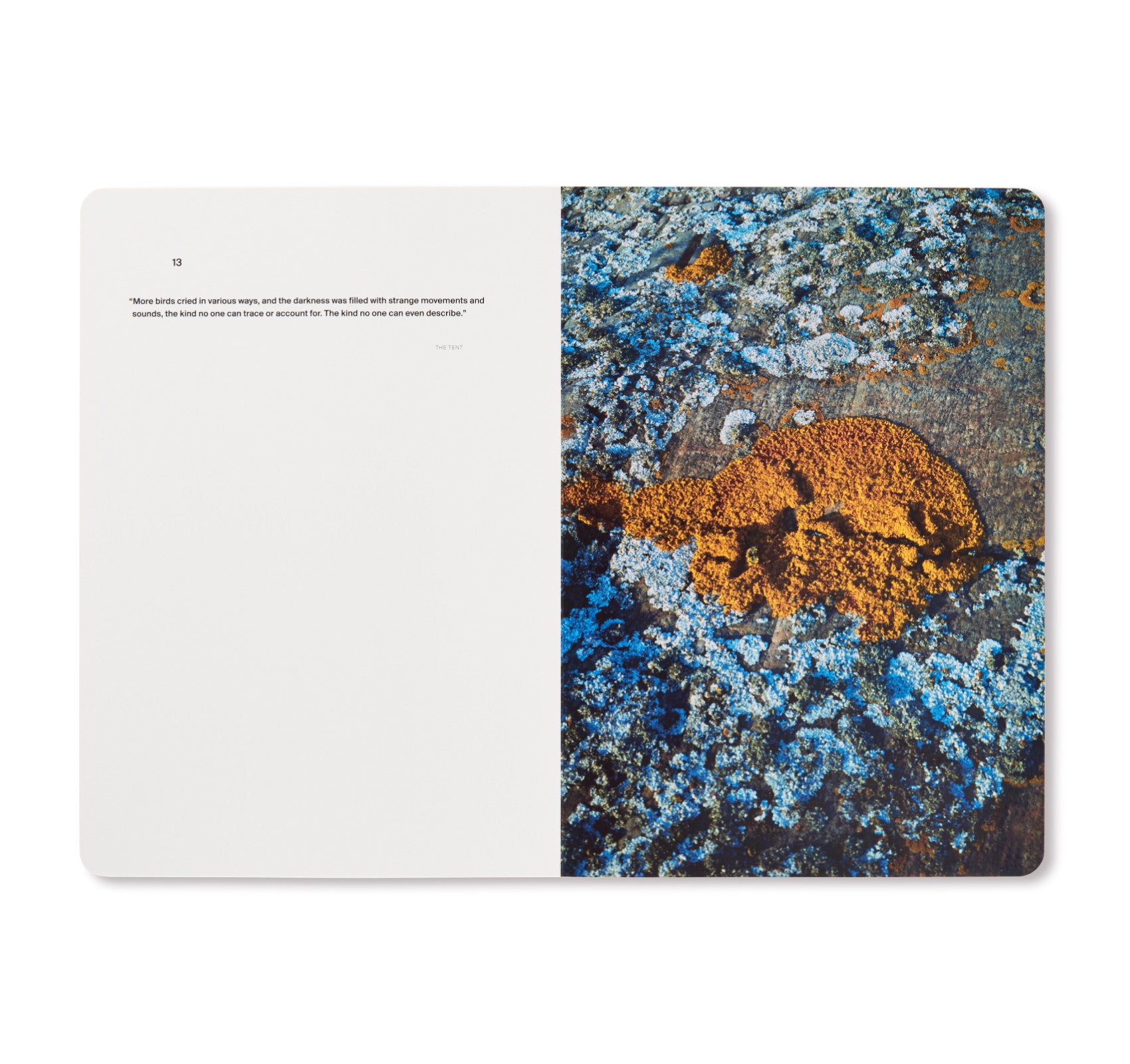A Song for Windows - Takashi Homma Photography Book | Art Book for Home Decor, Office Display & Photography Enthusiasts