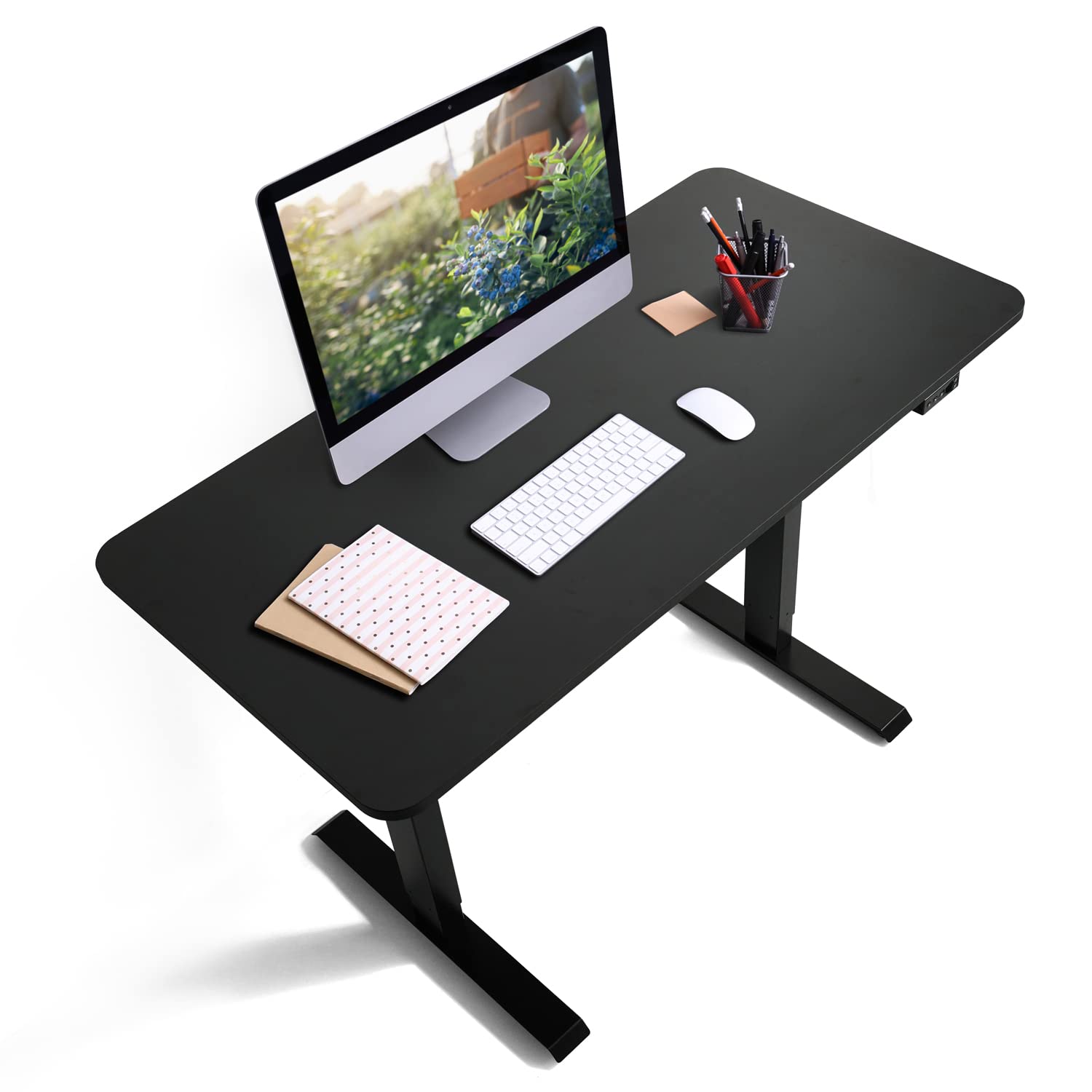 CAPHAUS 48 x 24 Inches Electric Standing Desk - Height Adjustable Home Office Desk with Memory Control Panel, Black Metal Frame & P2 Grade Desktop (Single Motor) | Perfect for Remote Work, Gaming & Study Spaces