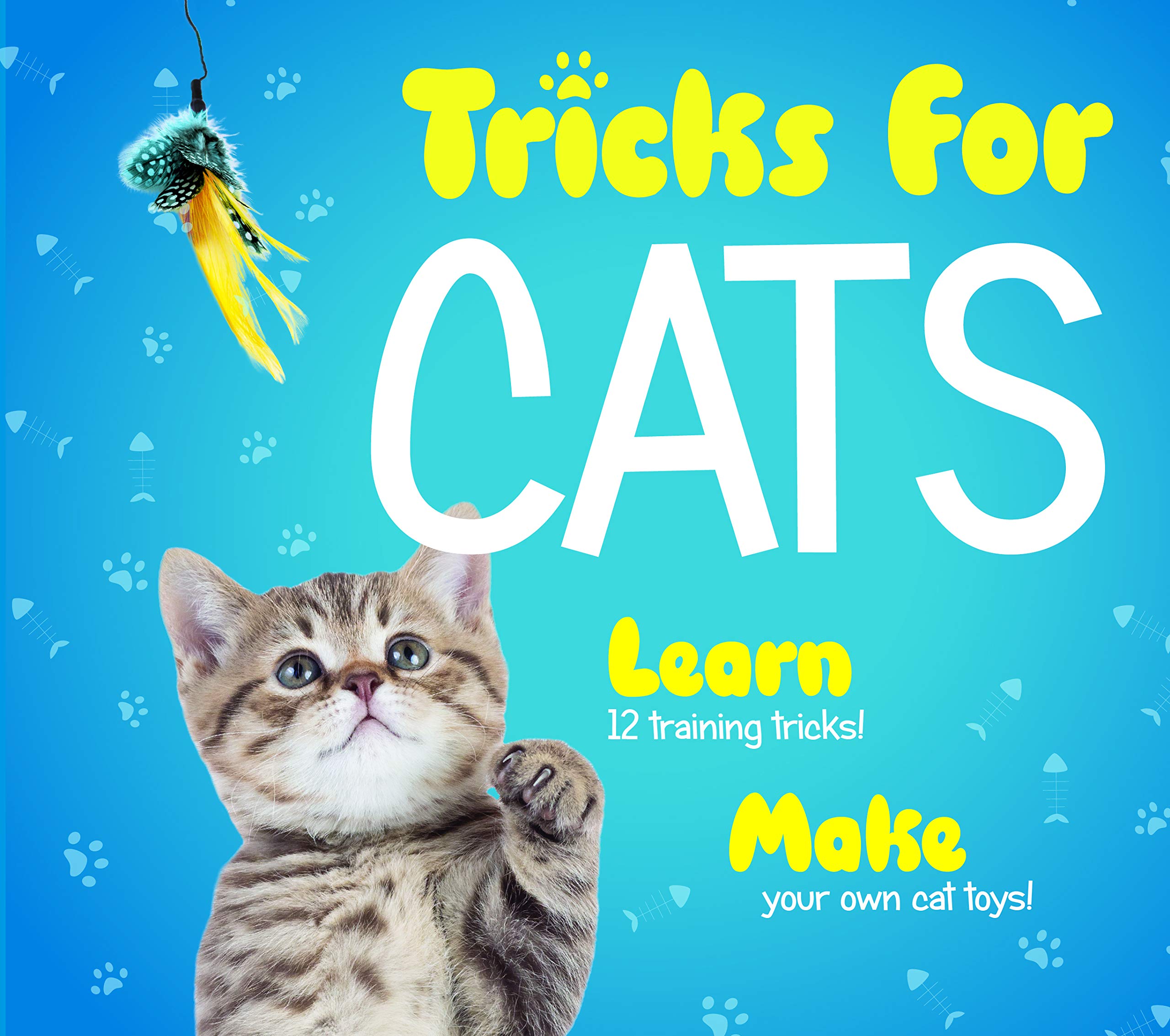 Interactive Cat Toys Kit - Fun Tricks & Training Games for Indoor Cats | Perfect for Playtime & Bonding with Your Feline Friend