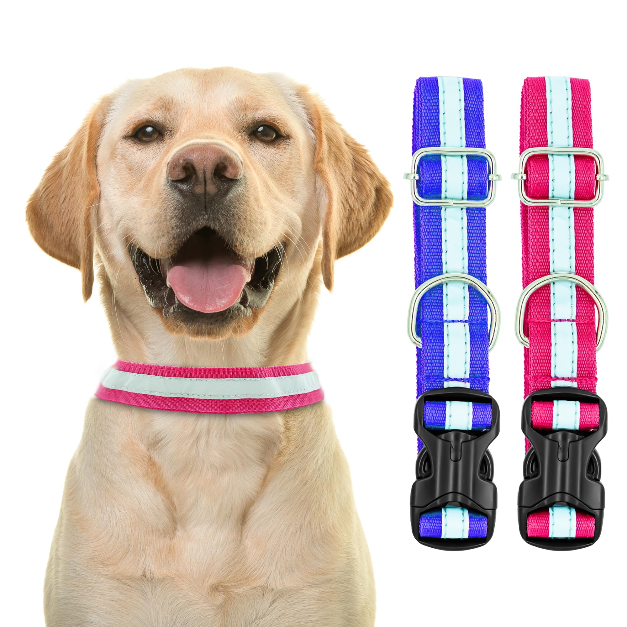 Buraq Pets 2-Pack Reflective Adjustable Nylon Dog Collar with Heavy Duty Metal D-Ring & Strong Buckle - Durable Pet Safety Gear for Walking, Running & Nighttime Visibility (Multicolor)
