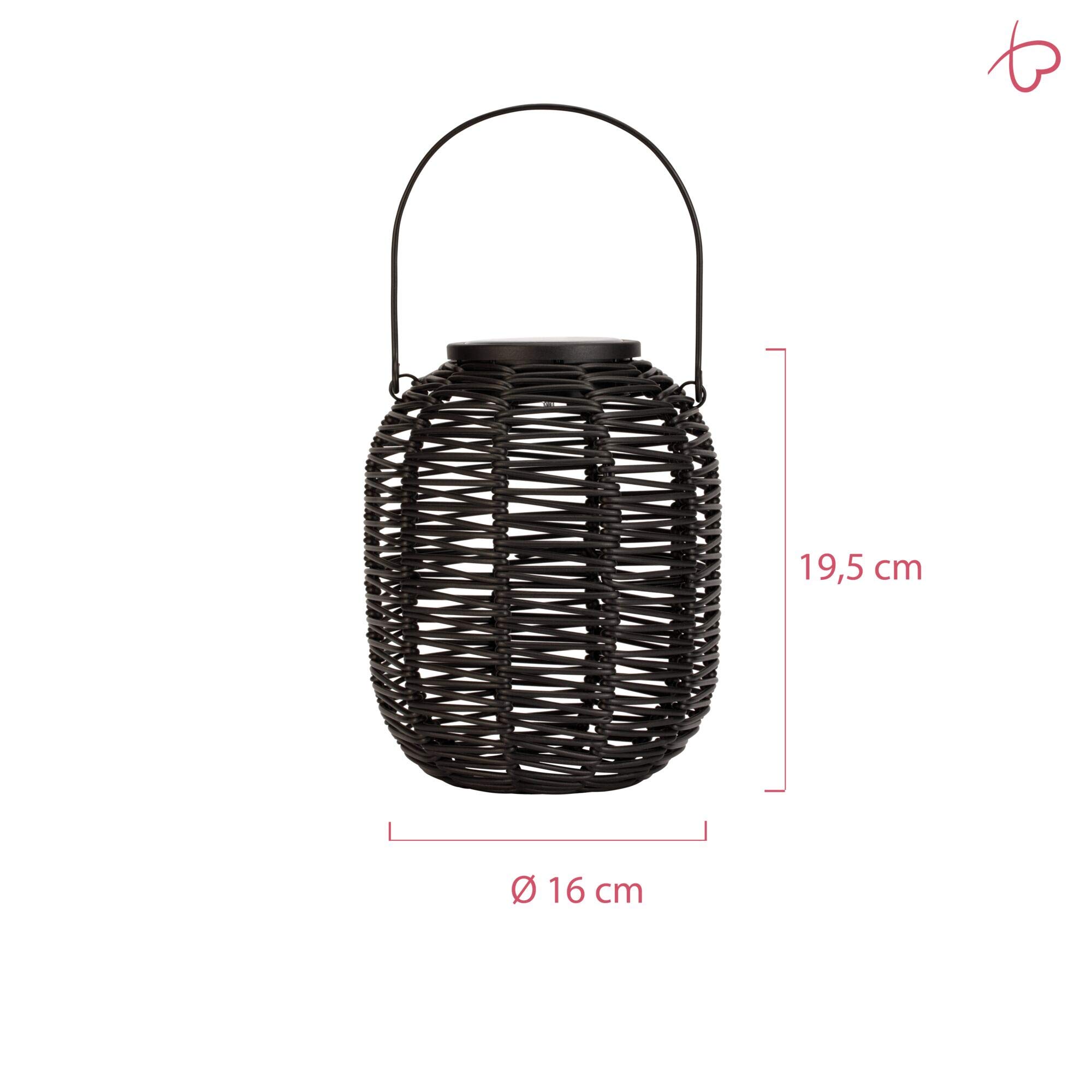 Pauleen Sunshine Treasure 48167 Solar Lantern - Outdoor Solar Powered Rattan Lighting for Garden, Balcony, Patio (3000K Warm White, Black) | Perfect for Backyard Decor, Pathway Illumination & Evening Ambiance