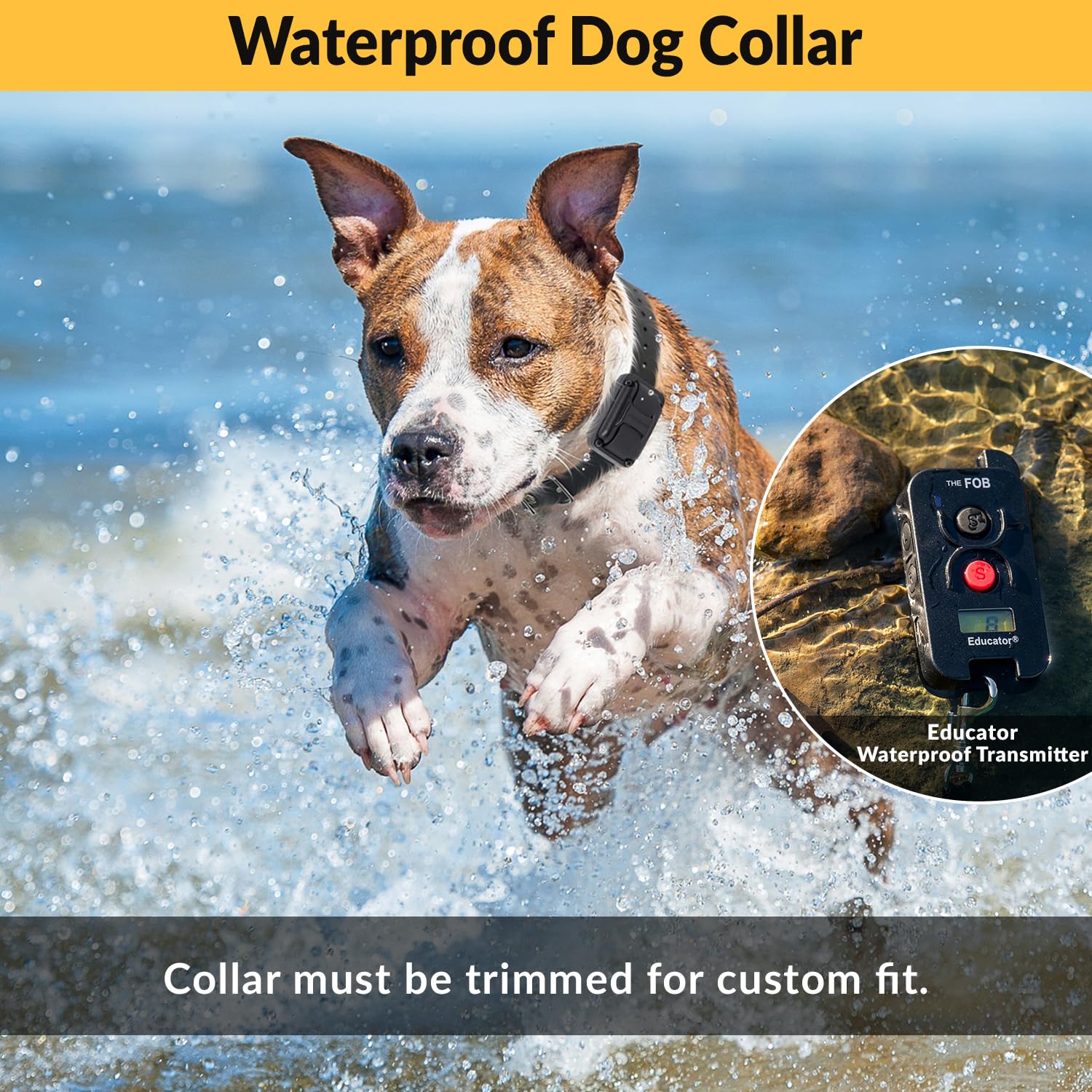 **Educator FOB 300 Yard Remote Dog Training Collar – Humane Stimulation, Pavlovian Tone, Waterproof & Odorproof Biothane – Rechargeable with Night Light – Perfect for Obedience Training, Hunting & Outdoor Adventures (Black, 1 Dog)**
