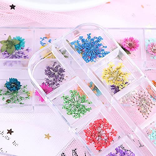 FASHION STORM® 3D Natural Dried Flowers Nail Art Decorations - Floral Leaf Stickers for Manicure & Nail Polish Designs | Perfect for DIY Nails, Bridal Parties, and Special Occasions