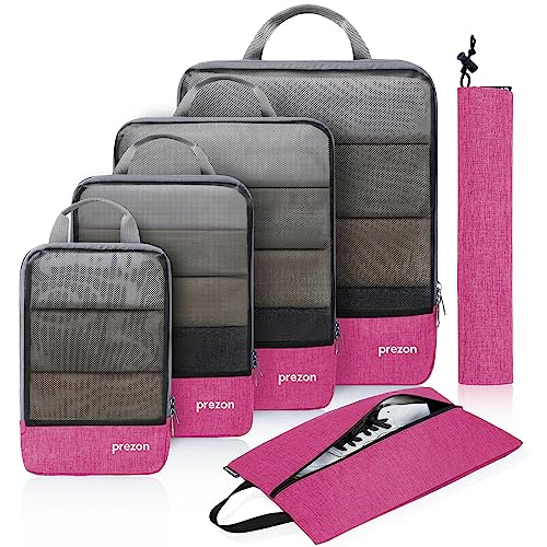 6 Pack - Pink
