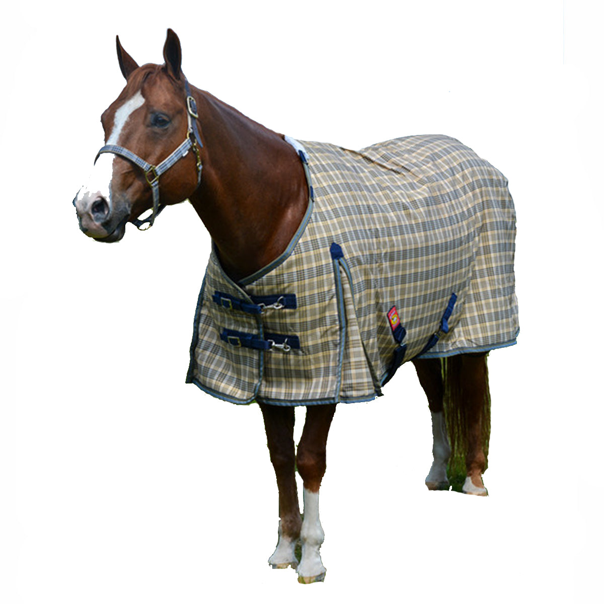 5/A Baker Medium Weight Turnout Blanket 200g - Waterproof Horse Blanket for Winter & Fall - Ideal for Stable, Pasture & Riding Protection