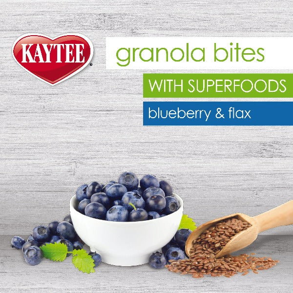 Kaytee Granola Bites with Superfoods - Blueberry & Flax Seed Healthy Treat for Small Pets - Perfect for Hamsters, Gerbils & Mice - Snack for Cages & Playtime