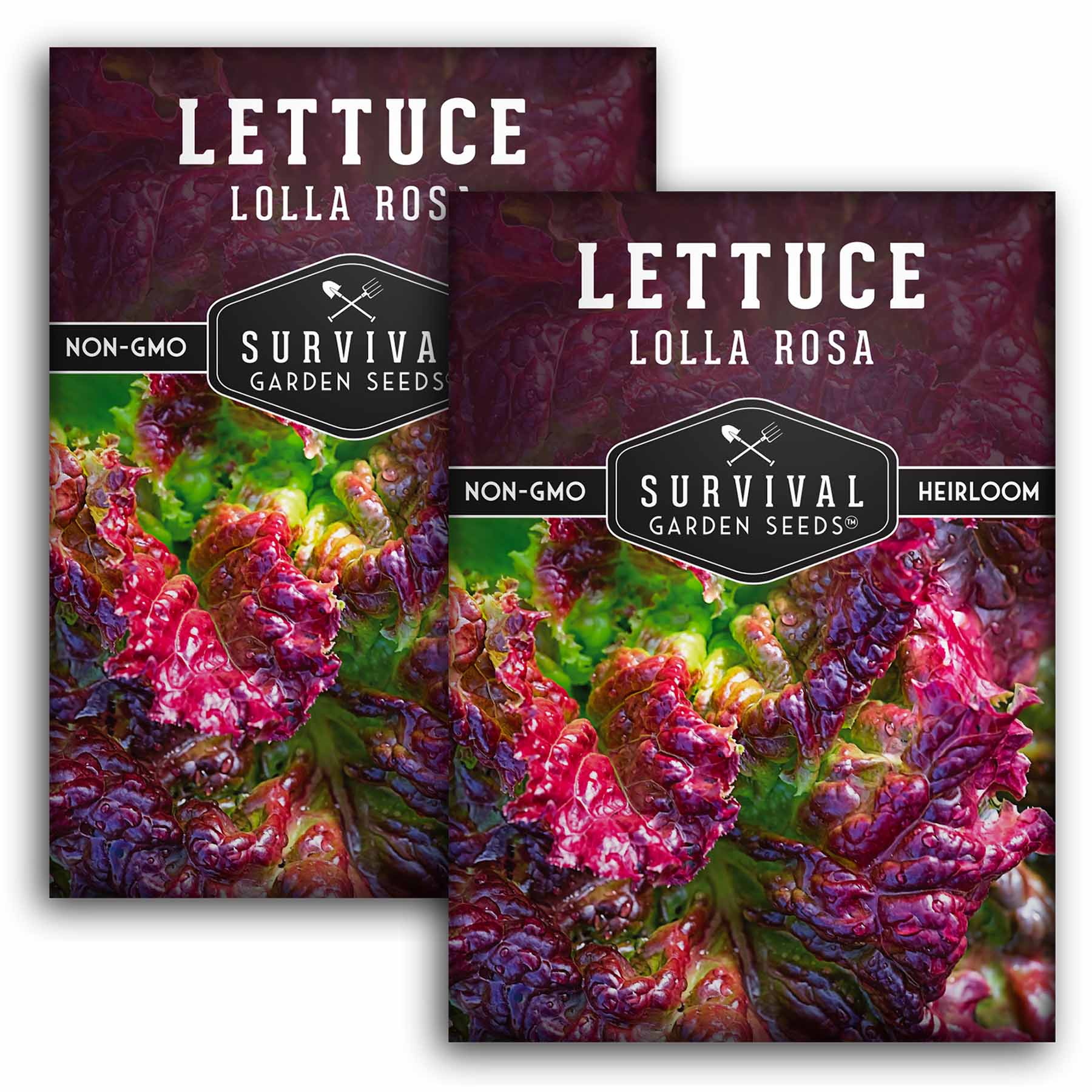 Lolla Rosa Lettuce Seeds - Non-GMO Heirloom Variety for Home Gardening, Salads & Gourmet Dishes | Perfect for Indoor/Outdoor Planting, Container Gardens & Fresh Eating