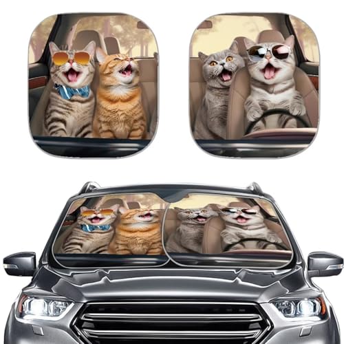 Funny Cat Driver