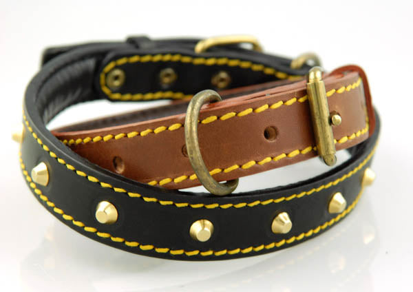Premium Italian Leather Padded Dog Collar - Comfortable & Stylish for Small to Medium Dogs - Perfect for Daily Walks, Training & Outdoor Adventures