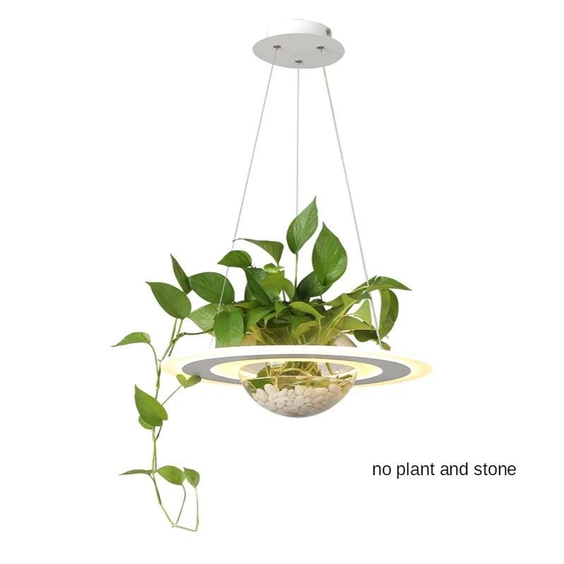 Elegant Ring Plant Pendant with Lustre Planet Light - Boho Home Decor for Bedroom, Living Room & Garden