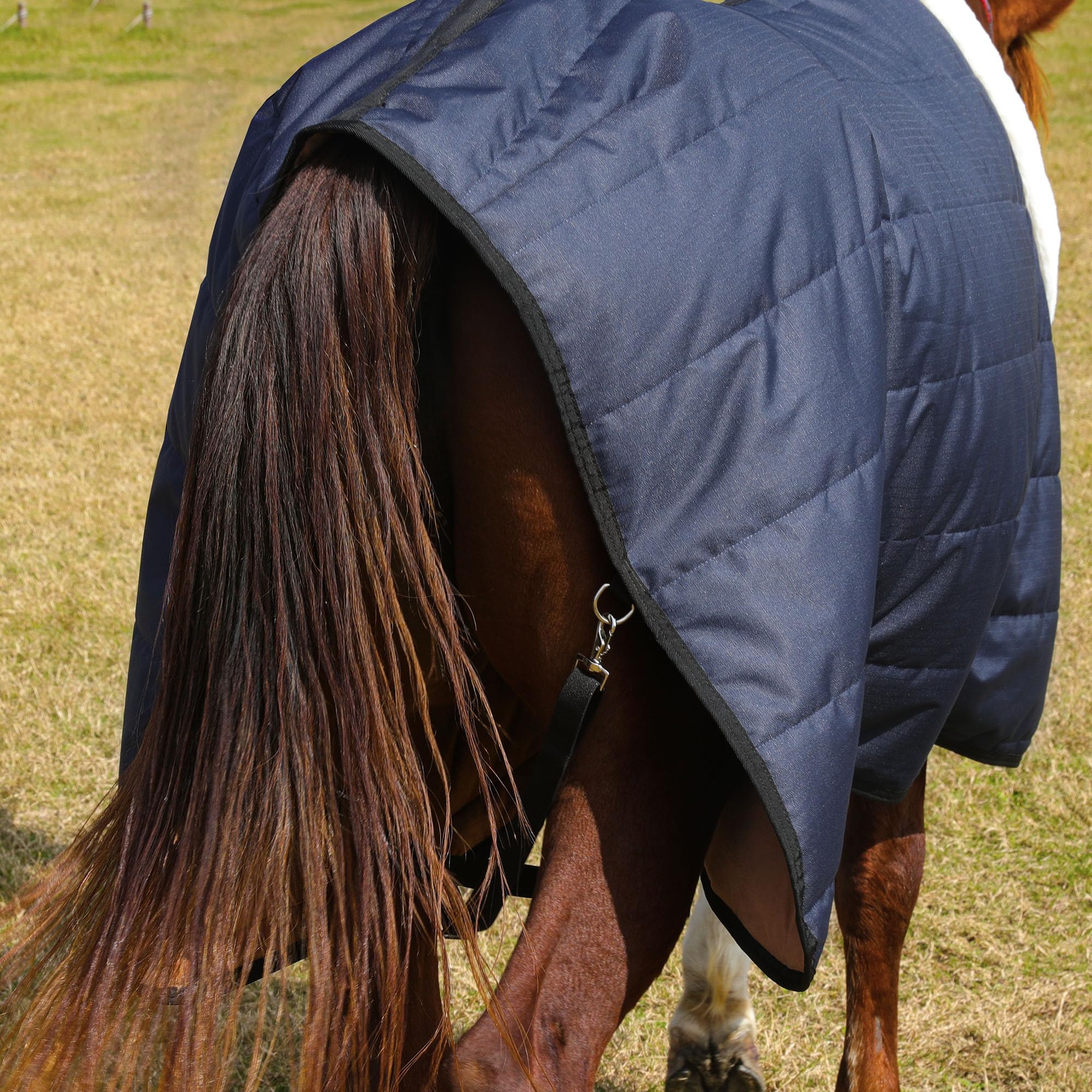 HOMBYS Heavy Duty Waterproof Winter Horse Blanket - 600D High Density Turnout Blanket with Flannel Backing for Extreme Cold - Navy Blue 78 Inch - Ideal for Stable, Trail Riding & Outdoor Horse Protection