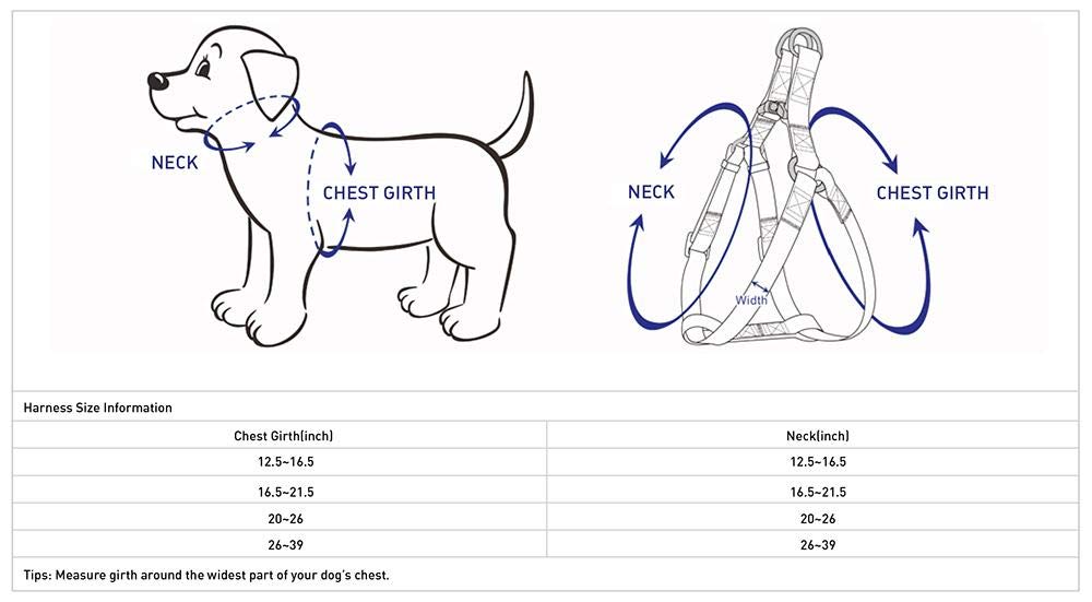Blueberry Pet Essentials Adjustable No-Pull Dog Harness for Small Dogs - Classic Solid Nylon Step-in Harness with Easy Walk Design | Perfect for Walking, Training & Outdoor Adventures (Royal Blue)