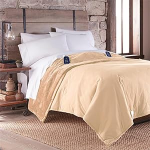 Premium Thermee Micro Flannel Heated Blanket Queen Size - 10 Heat Settings, Programmable Timer, Ultra-Soft Electric Throw for Fast Warming | Perfect for Cold Nights, Bedroom Use & Cozy Winter Relaxation (Sage Green)