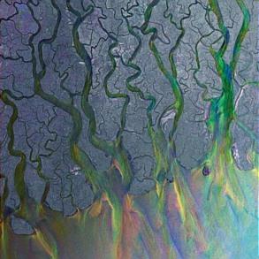 Alt J - An Awesome Wave CD | Indie Rock Album | Perfect for Home Listening, Road Trips & Music Collectors