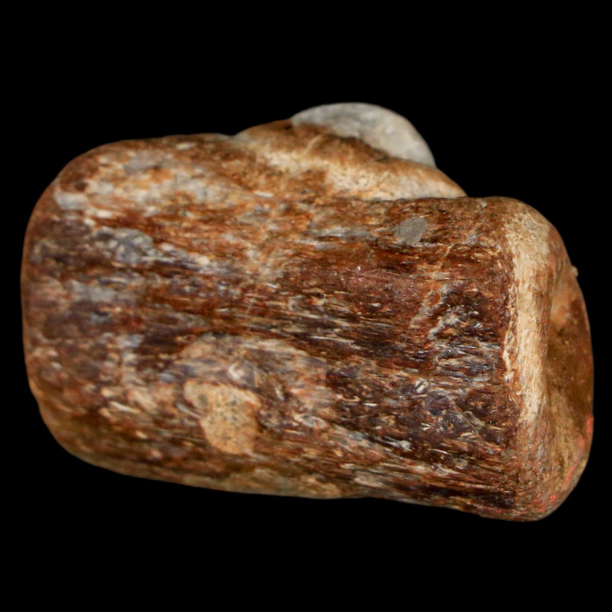 1.5