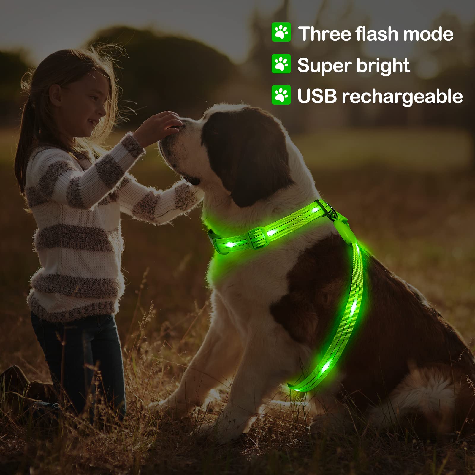Rechargeable LED Dog Harness with Reflective Strips - Glow in The Dark Light Up Vest for Night Walking, Jogging & Outdoor Safety - Best for Small Medium Large Dogs