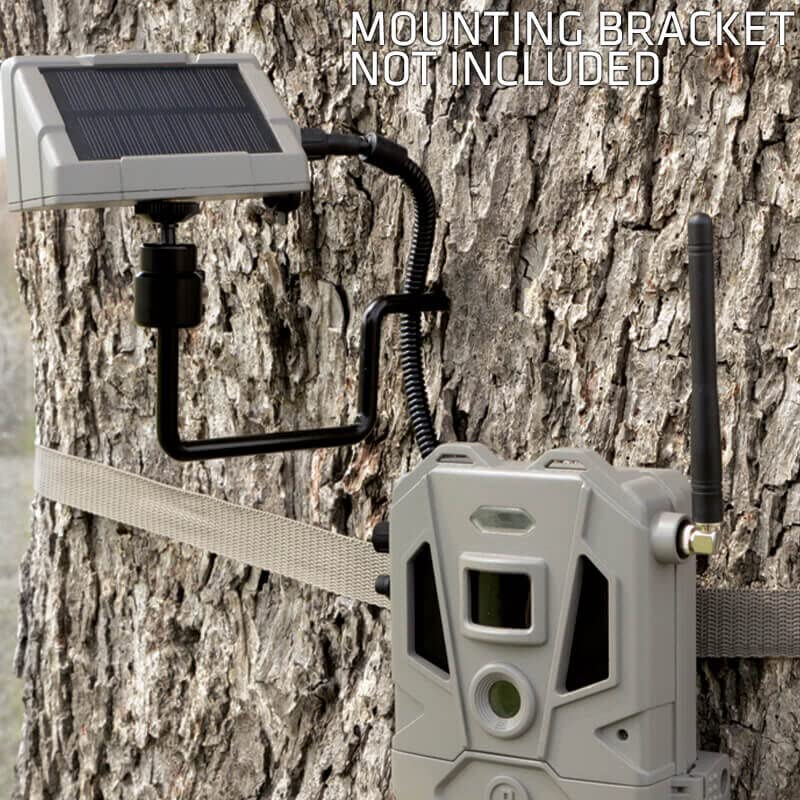 Bushnell CelluCORE 20 Solar Trail Camera - Low Glow Hunting Game Camera with Detachable Solar Panel, Strap & SD Card Bundle - Perfect for Wildlife Monitoring, Hunting, and Outdoor Security Surveillance