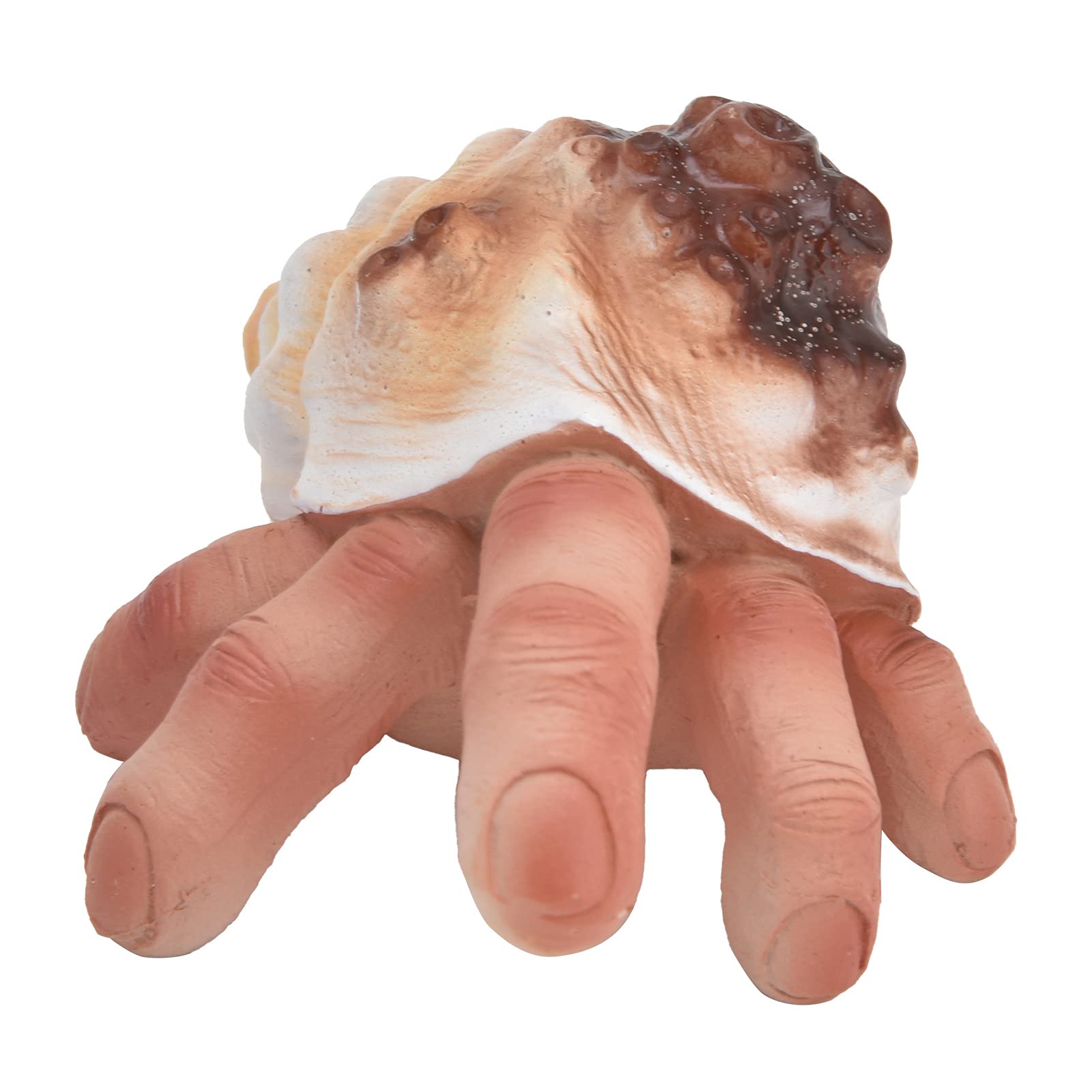 YEmirth Halloween Shell Finger Resin Ornaments - Fun Sculpture Desktop Decor for Living Room, Bedroom & Office | Spooky Home Decor, Party Supplies & Gift Idea for Halloween