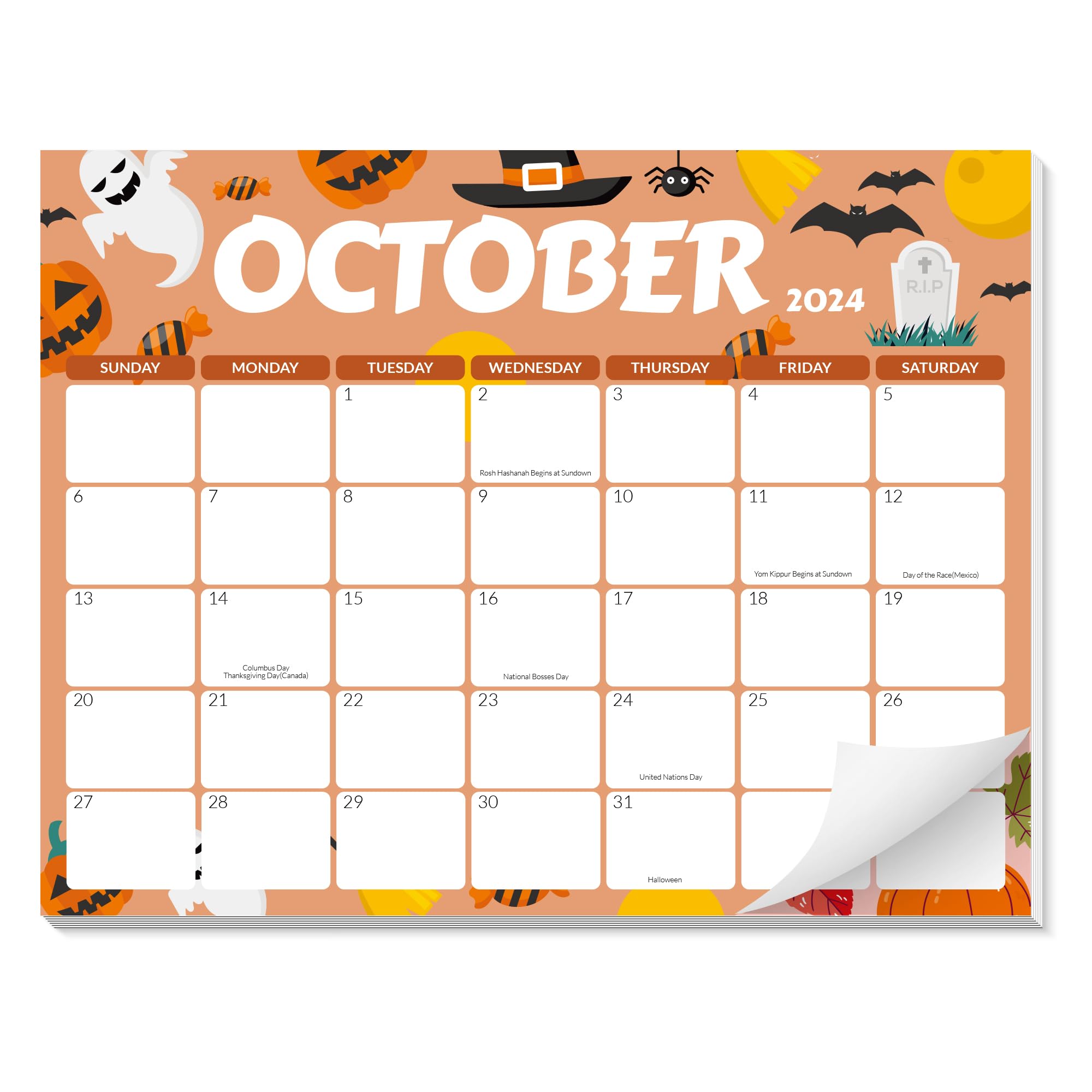 GNL 2025-2026 Magnetic Refrigerator Calendar - 18 Month Monthly Planner from Now to December 2026 with Strong Magnet - 8.5