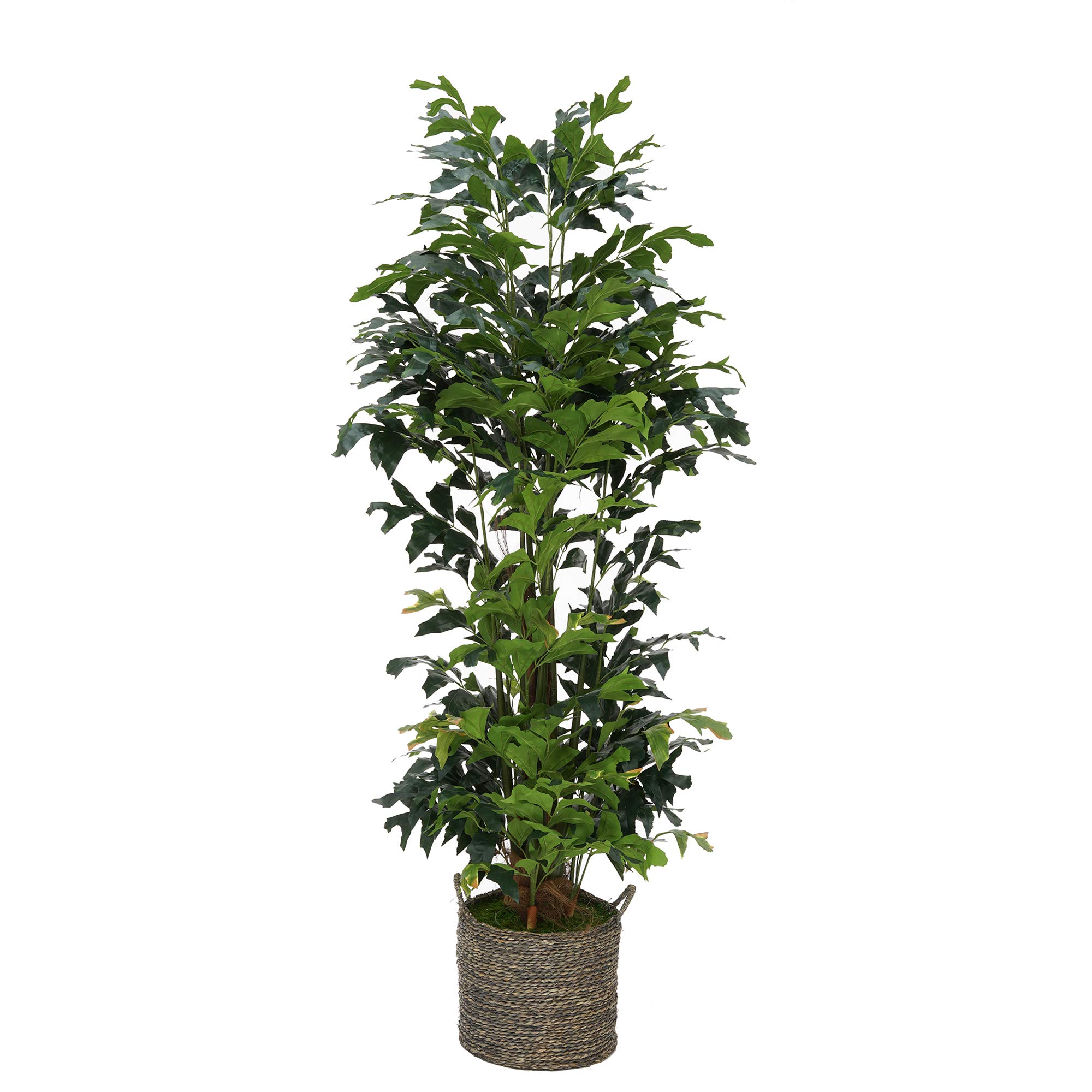 7ft Artificial Fishtail Palm Tree in Seagrass Planter - Grey Wash Indoor/Outdoor Decor for Home, Office, Patio & Garden