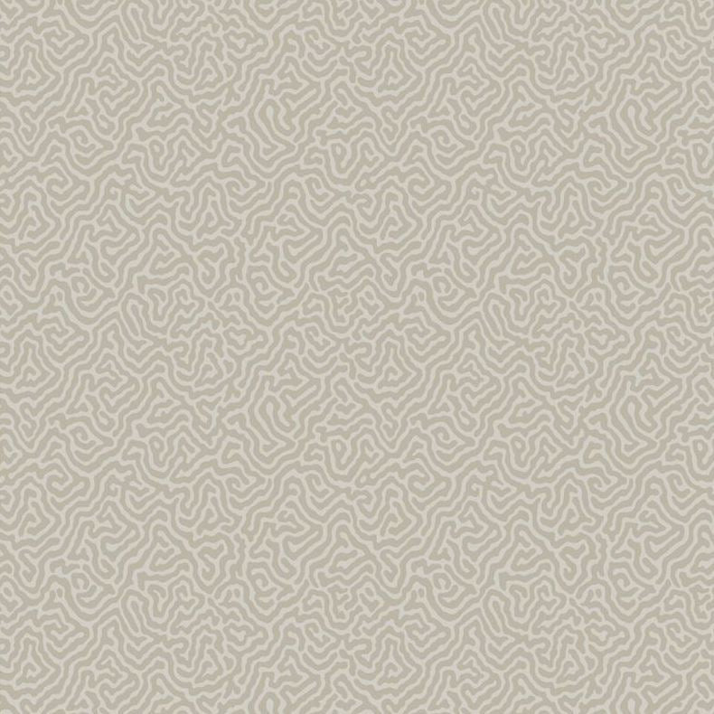 107/4019 | Vermicelli Cole and Son Wallpaper - Premium Peel and Stick Wallpaper for Living Room, Bedroom, and Home Decor