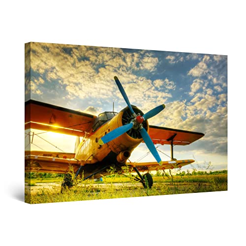 Orange Plane Sunset