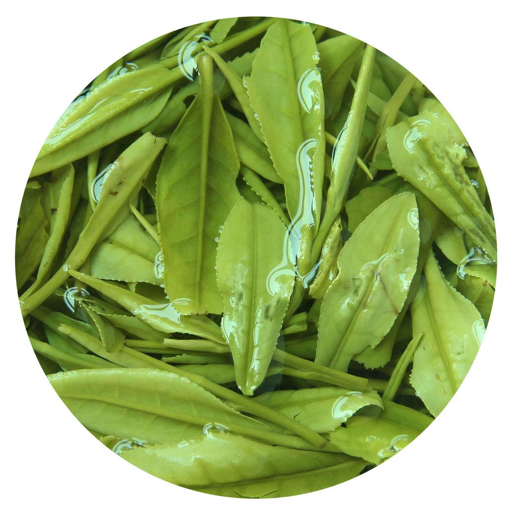 Premium Anji Bai Cha Green Tea - 2 Pack (250g/8.8oz Each) | Supreme Grade Spring Loose Leaf Tea | Authentic Chinese White Tea for Daily Wellness, Meditation & Gift Giving