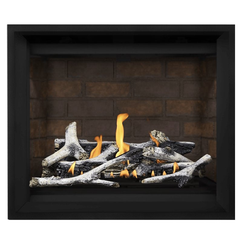 Napoleon Altitude X 42 Direct Vent Gas Fireplace - 42 Inch Natural Gas Fireplace Insert with Remote Control | AX42 1 | Perfect for Living Rooms, Bedrooms & Outdoor Patios