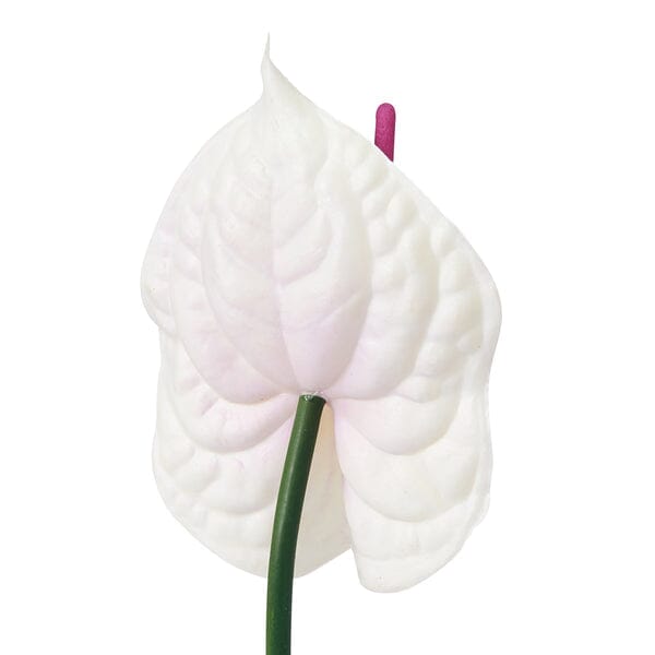 Purple Anthurium Artificial Flower - Elegant Home Decor for Living Room, Wedding & Office