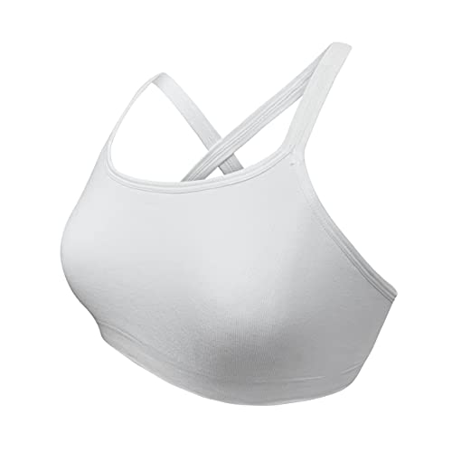 Smt13 / White2