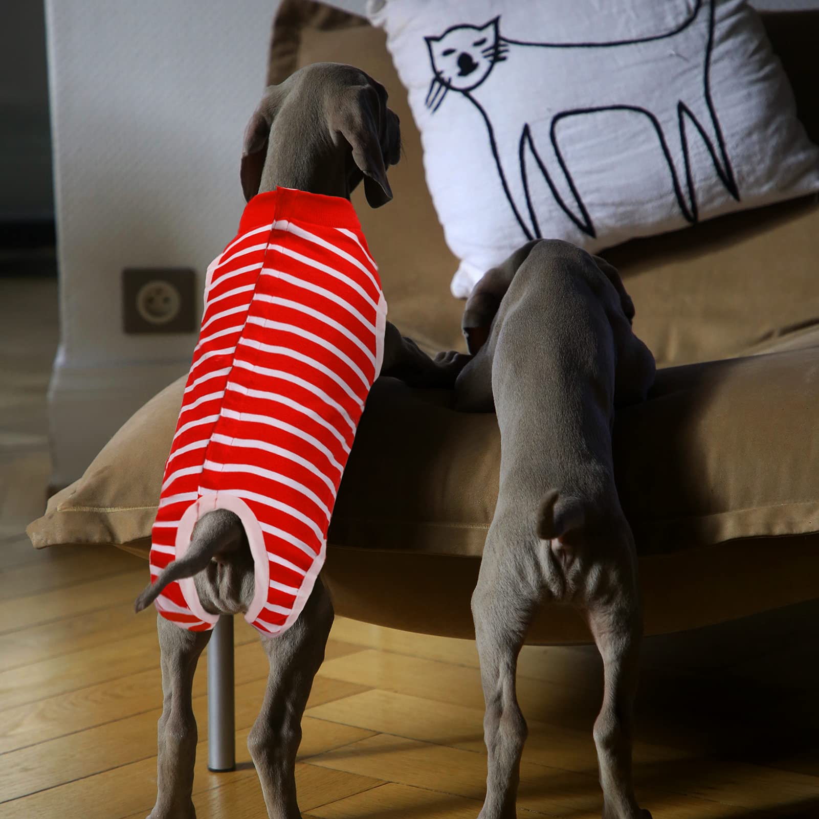 SAWMONG Dog Recovery Suit for Post-Surgery Care - Soft Spay Surgical Suit for Female & Male Dogs - Alternative to E-Collar Cone - Red X-Small - Perfect for Wound Protection & Comfort After Neutering or C-Section