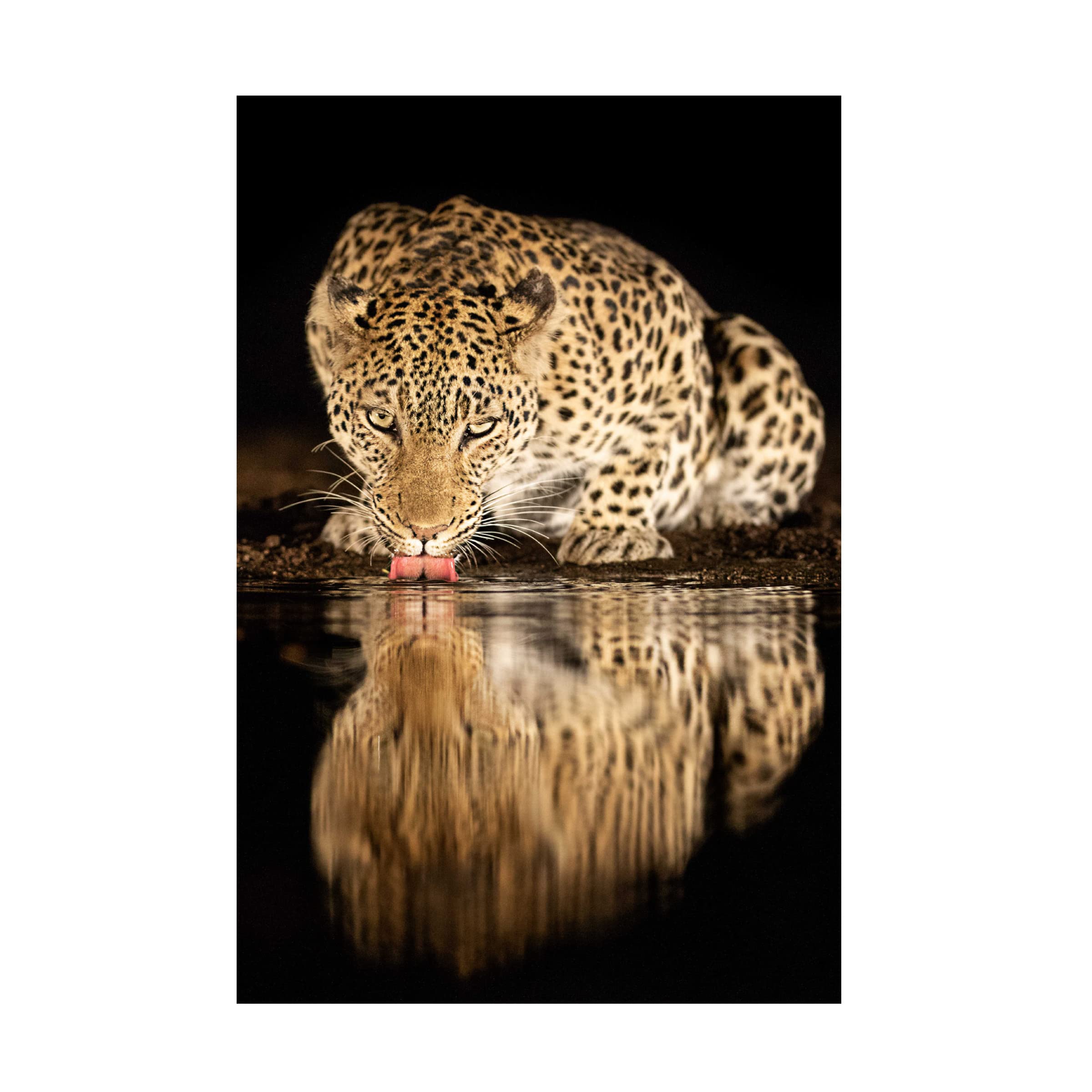 Trademark Fine Art 'Single Mother' Canvas Wall Art by Amnon Eichelberg - Perfect for Living Room, Bedroom & Office Decor