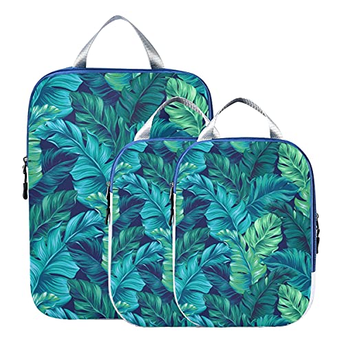 Tropical 11