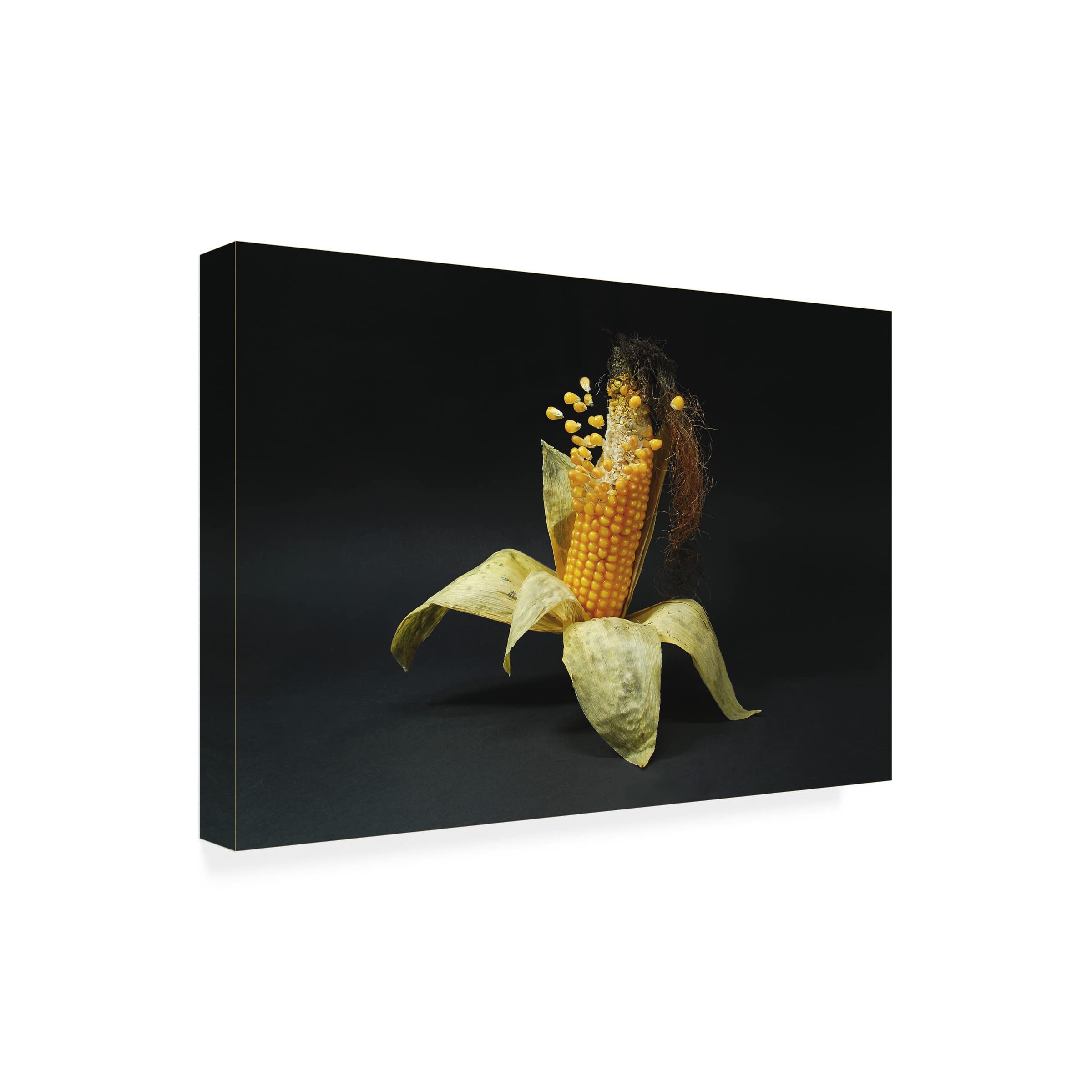 Trademark Fine Art 'Pop Corn' Canvas Art by Leon - Modern Pop Art Wall Decor for Living Room, Bedroom & Office