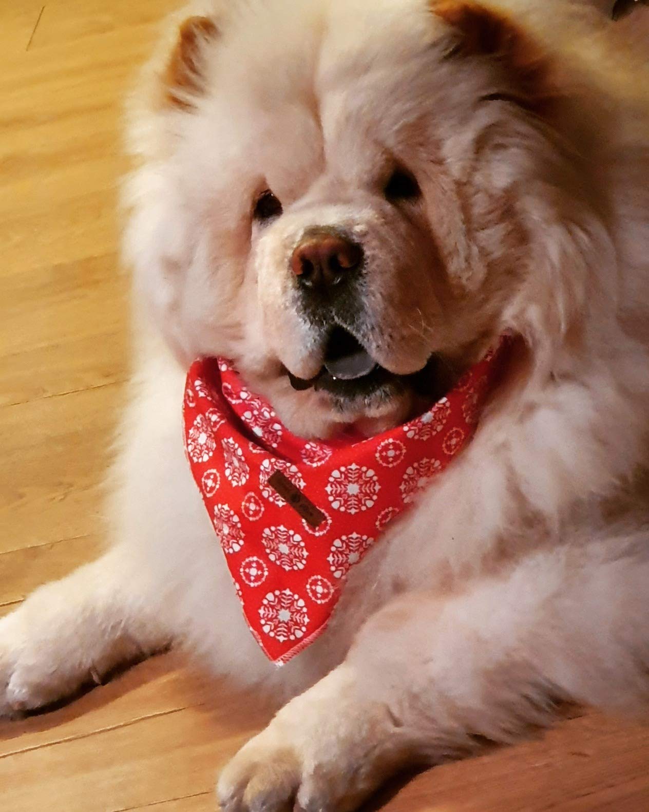 Lionet Paws Dog Bandana for Small Medium Large Dogs - Adjustable Pet Scarf for Cats & Dogs - Cute Triangle Bib Kerchief for Puppies & Kittens - Perfect for Pet Parties, Holidays & Photo Shoots