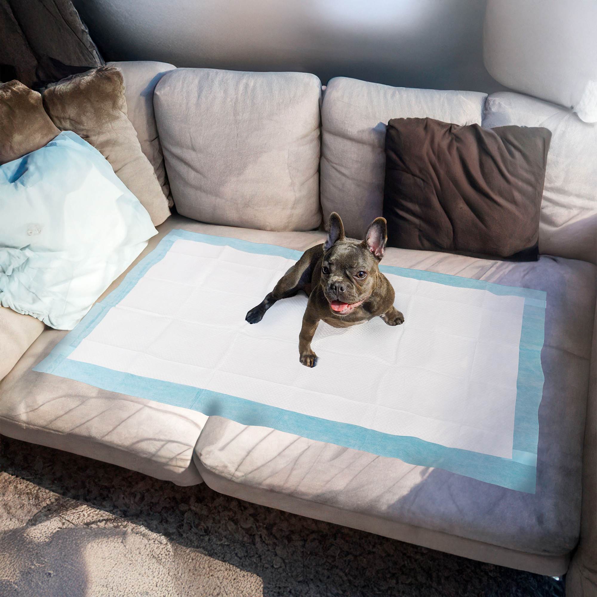 Extra Large Disposable Puppy Pads for Potty Training, Whelping & Housebreaking - Super Absorbent Dog Pee Pads for Puppies, Senior Dogs & Indoor Use (Perfect for Crate Training, Kennels & Pet Carriers)
