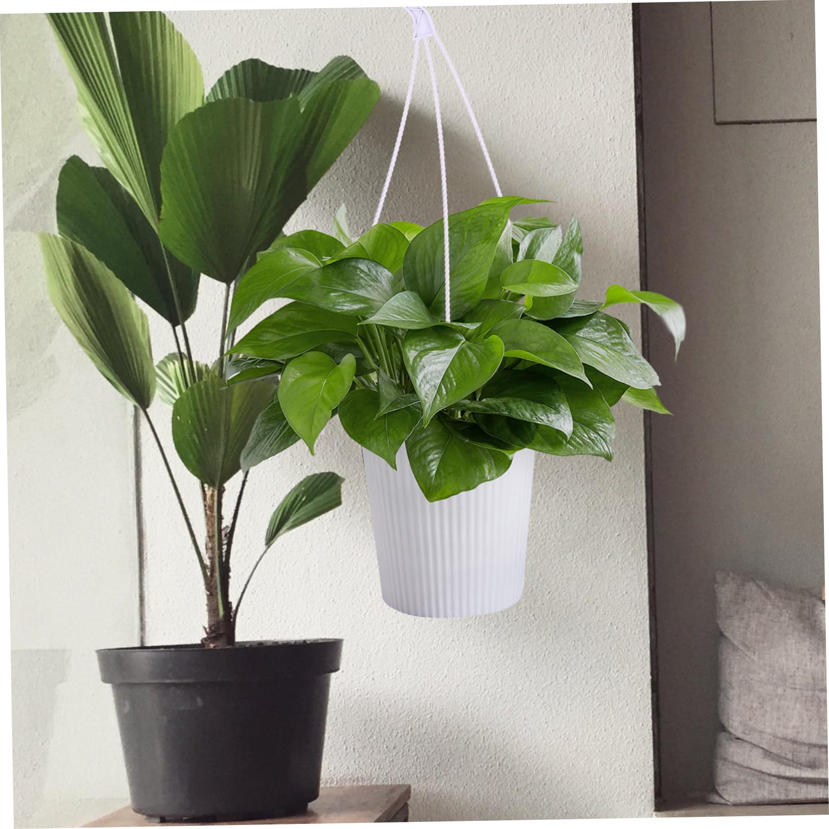 30pcs Cabilock Plastic Hanging Plant Hooks - White Lace Chlorophytum Hooks for Outdoor Hanging Baskets & Flower Pots | Durable Plastic Vases & Plant Hangers | Perfect for Balcony, Garden & Indoor Plant Decor