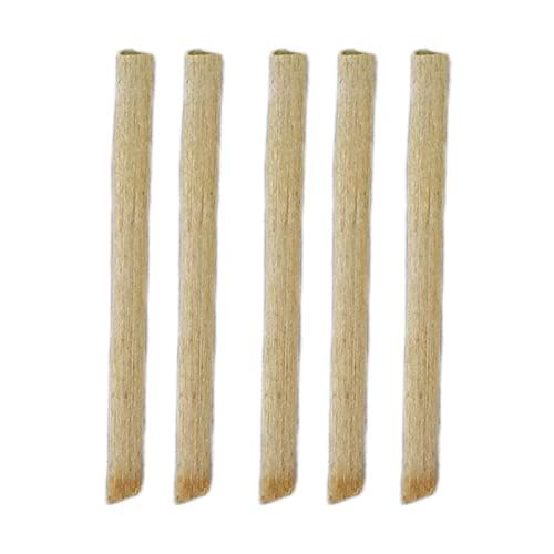 Natural Tea Stick Earrings for Women - Portable Anti-Inflammatory Ear Studs, Handpicked Rough Style Jewelry | Perfect for Daily Wear, Yoga, Meditation & Boho Fashion