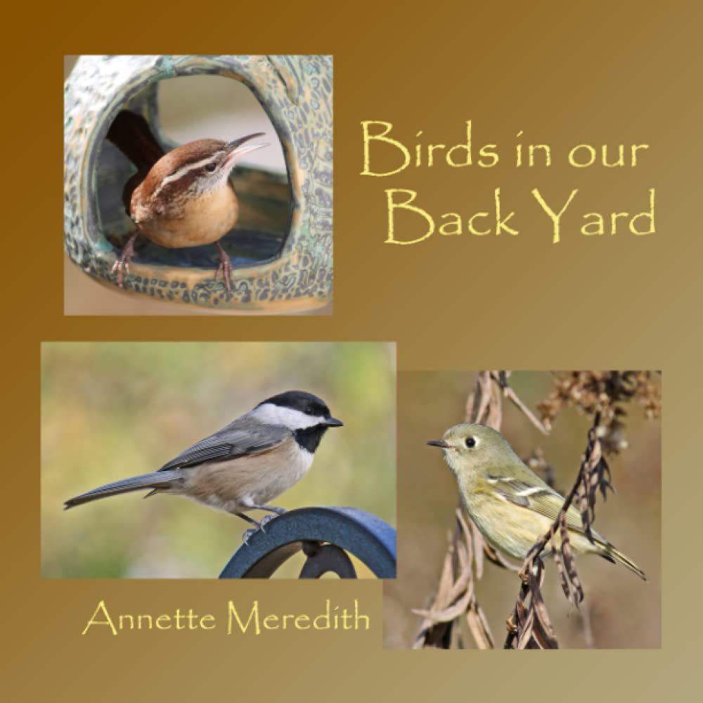 Birds in Our Backyard - Beautiful Wild Bird Guide for Nature Lovers | Perfect for Birdwatching, Backyard Bird Feeding & Outdoor Exploration