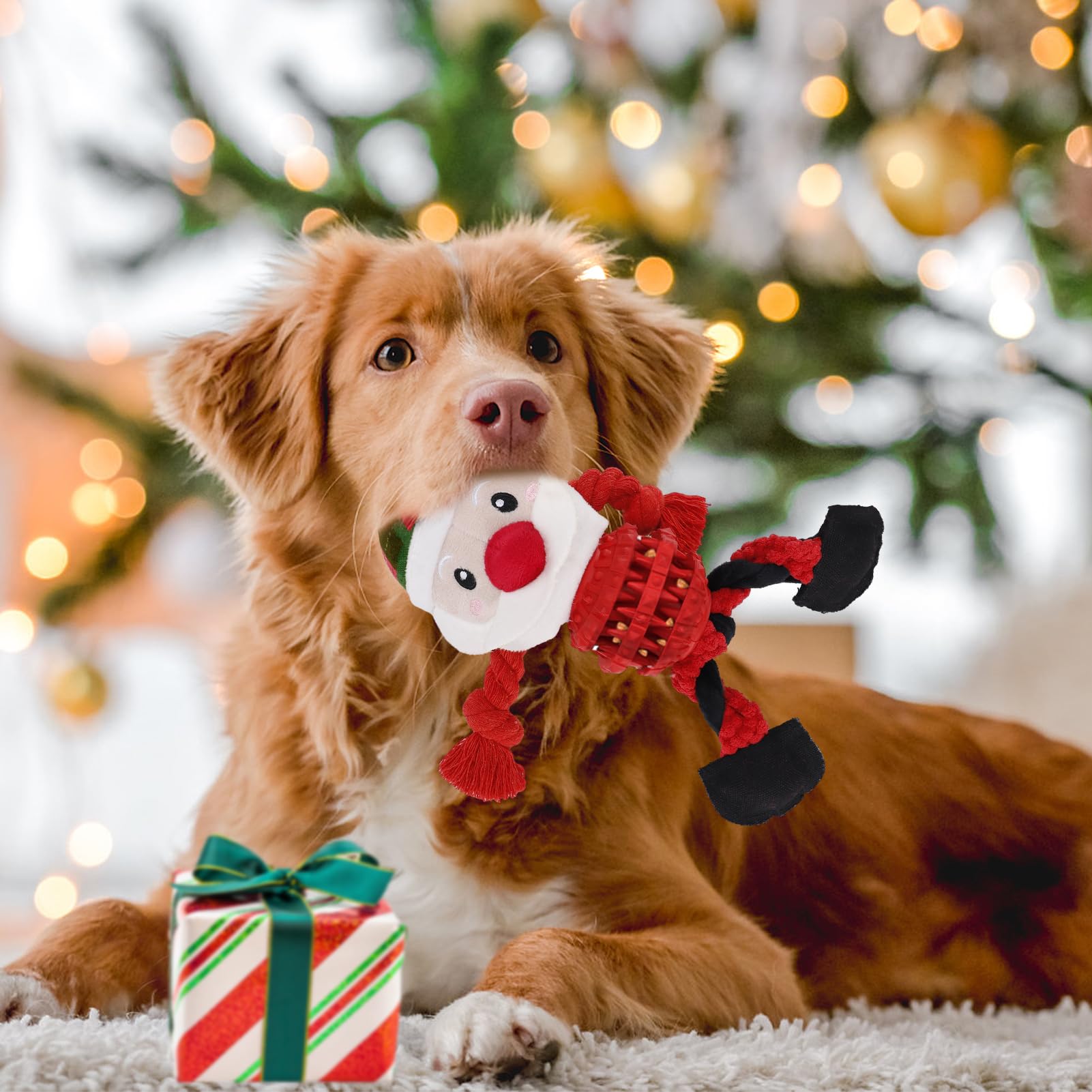 MEWTOGO Christmas Squeaky Dog Toy - Durable Chew Toy for Aggressive Chewers, Interactive Stuffed Animal Gift for Large Medium & Small Dogs (Santa) - Perfect for Holiday Playtime & Training