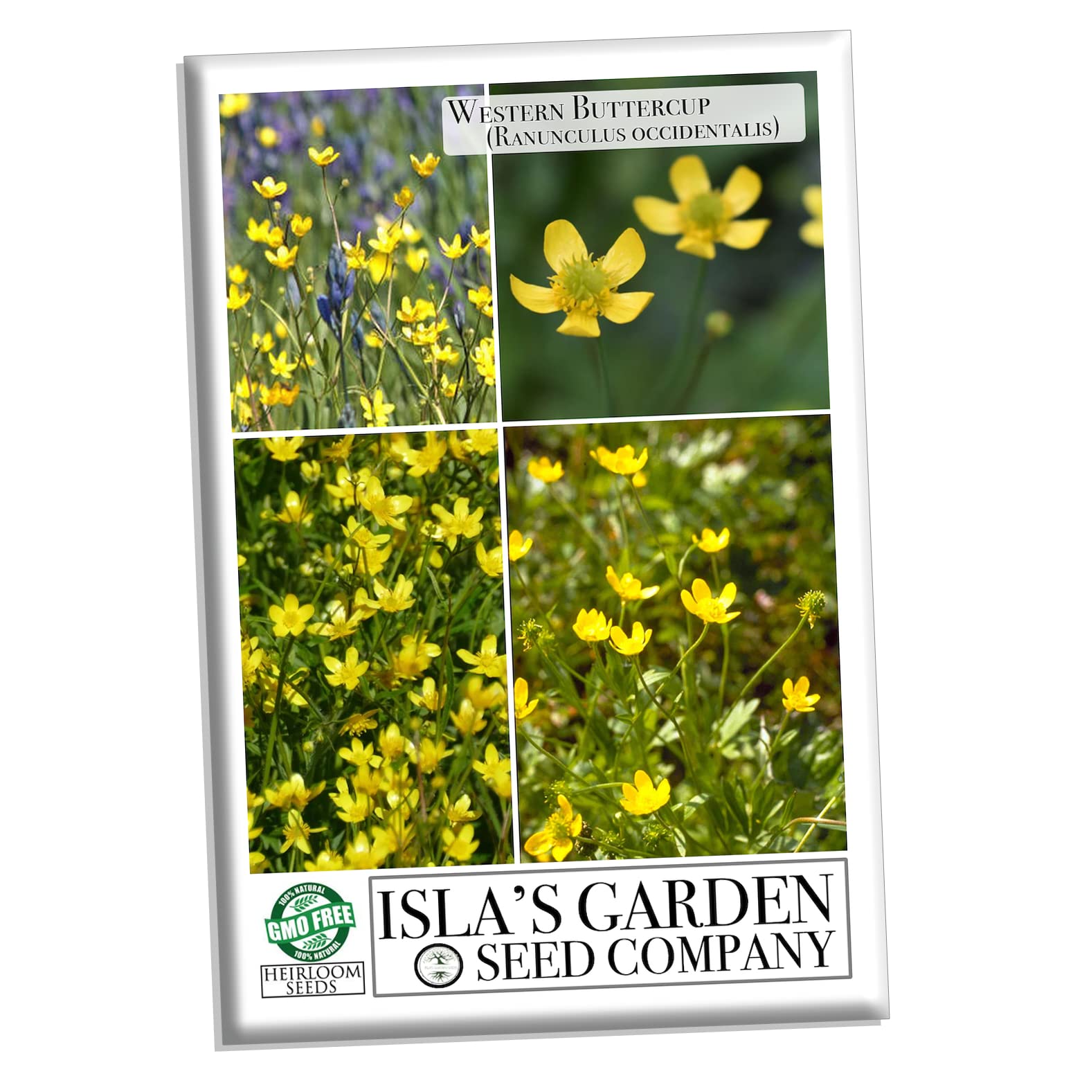 Western Buttercup Flower Seeds (Ranunculus occidentalis) - 500+ Non-GMO Heirloom Seeds Per Packet by Isla's Garden Seeds | Long Blooming Wildflowers for Home Gardens, Landscaping & DIY Floral Gifts