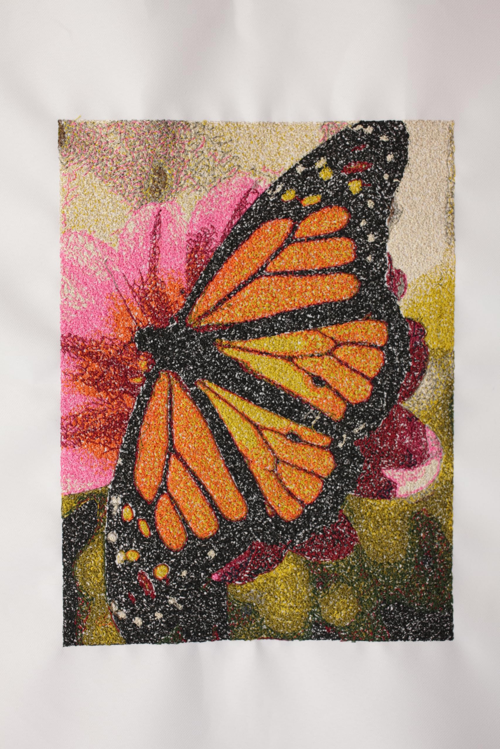 Stitched Snapshots Plus - Professional Machine Embroidery Software for PC & MAC | Create Custom Designs for Quilting, Apparel & Home Decor