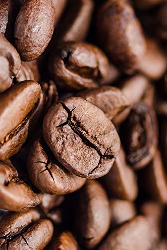 Premium 5 Lbs 100% Authentic Jamaican Blue Mountain Coffee Beans - Medium (Full City) Roast - Perfect for Home Brewing, Gifts & Coffee Shops
