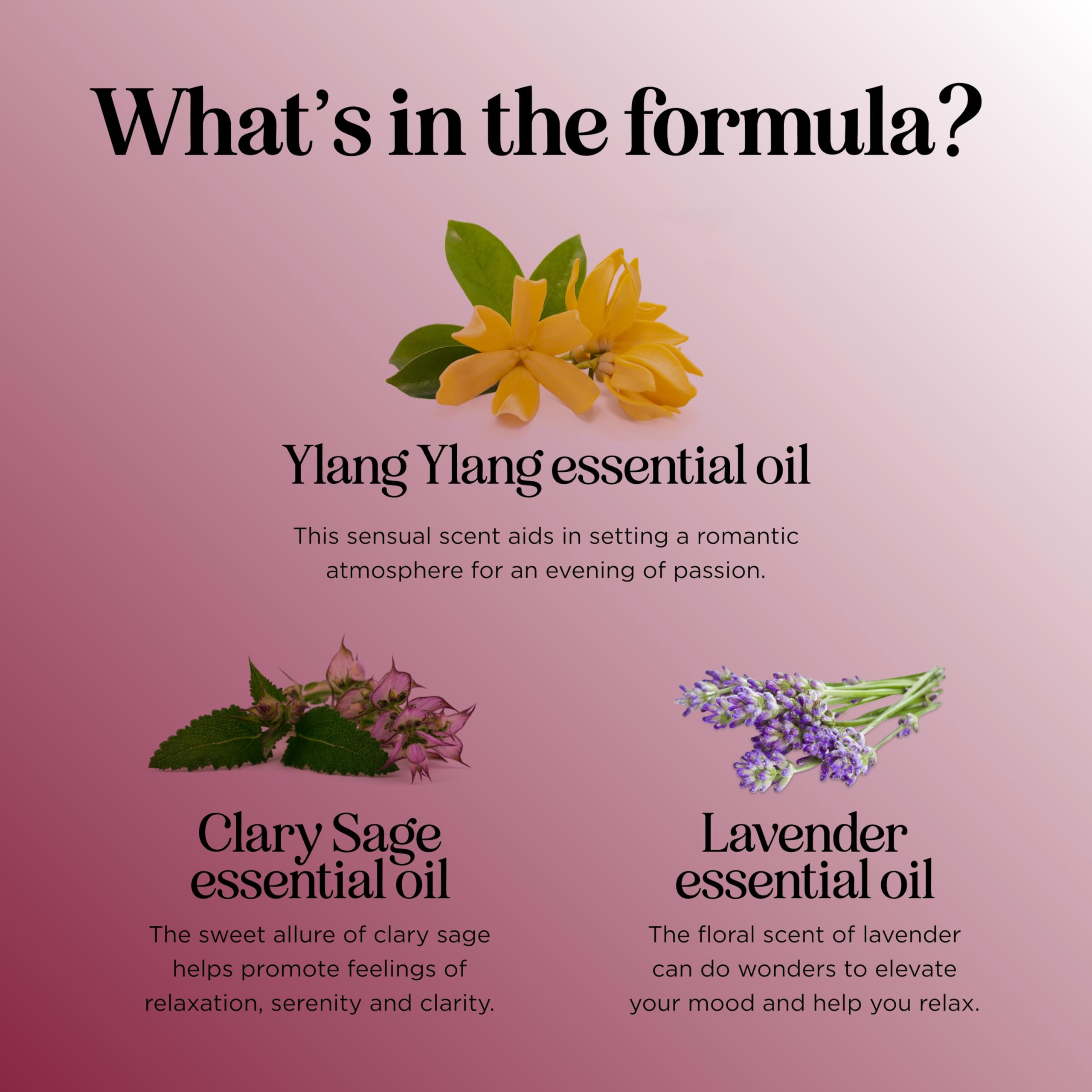 Passionate Romance Essential Oil Blend - Lavender, Palmarosa, Clary Sage & Ylang-Ylang Aromatherapy Oil for Diffusers - Couples Massage & Relaxation Gift Set - Perfect for Date Nights & Romantic Evenings