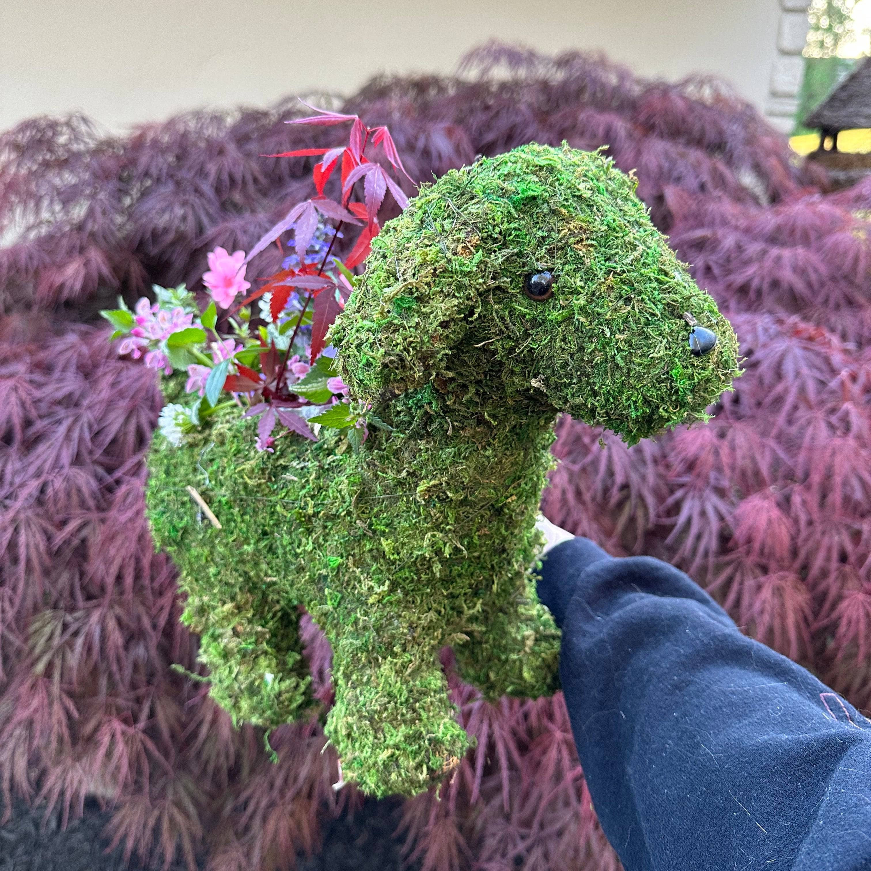 13 Inch Puppy Moss Planter - Cute Indoor Succulent Planter for Home & Office Decor - Perfect for Windowsills, Desks, and Gift Giving