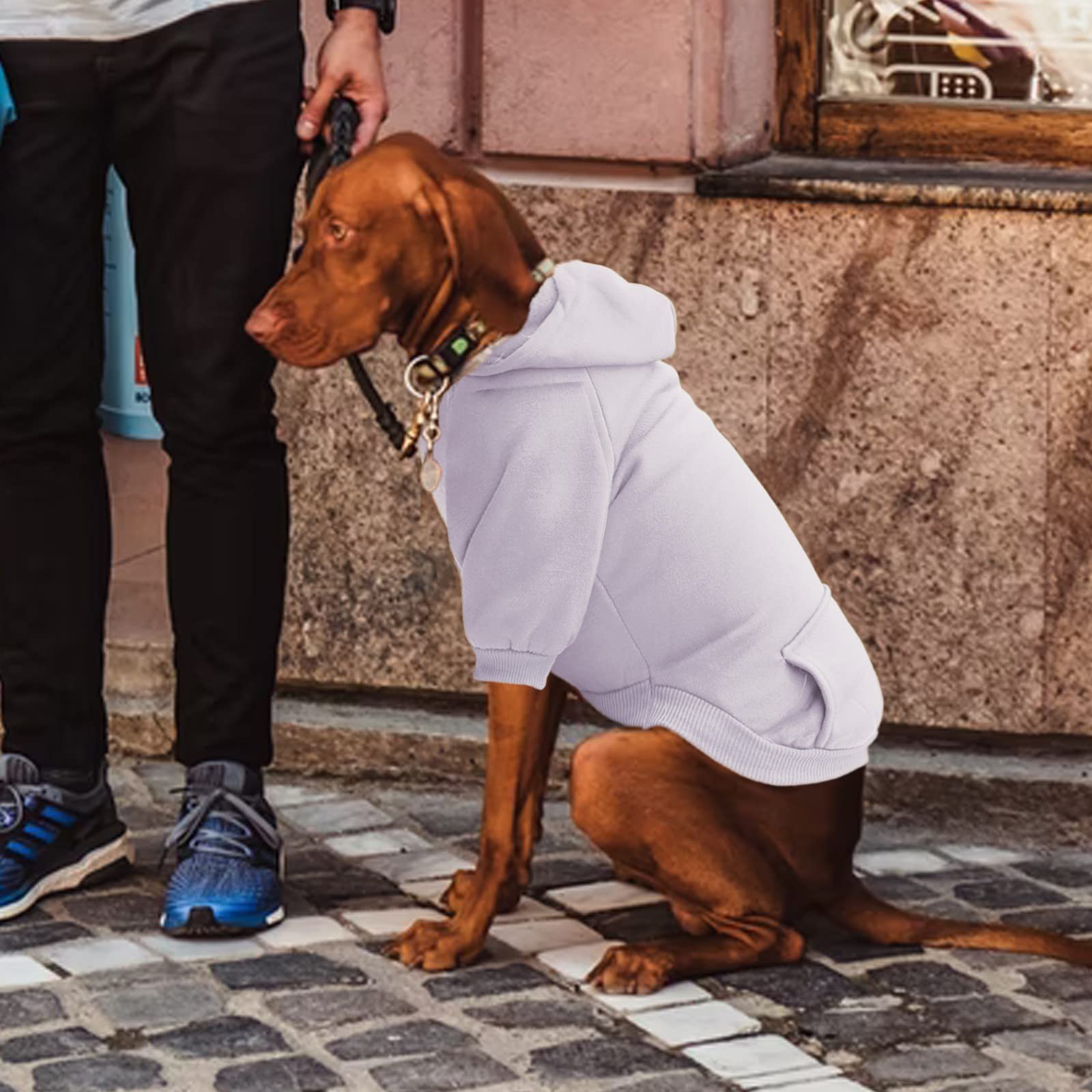 Winter Dog Coats & Sweatshirts for Small Dogs - Warm Hoodie for Chihuahua, French Bulldog & Other Small Breeds | Perfect for Outdoor Walks & Cold Weather Protection