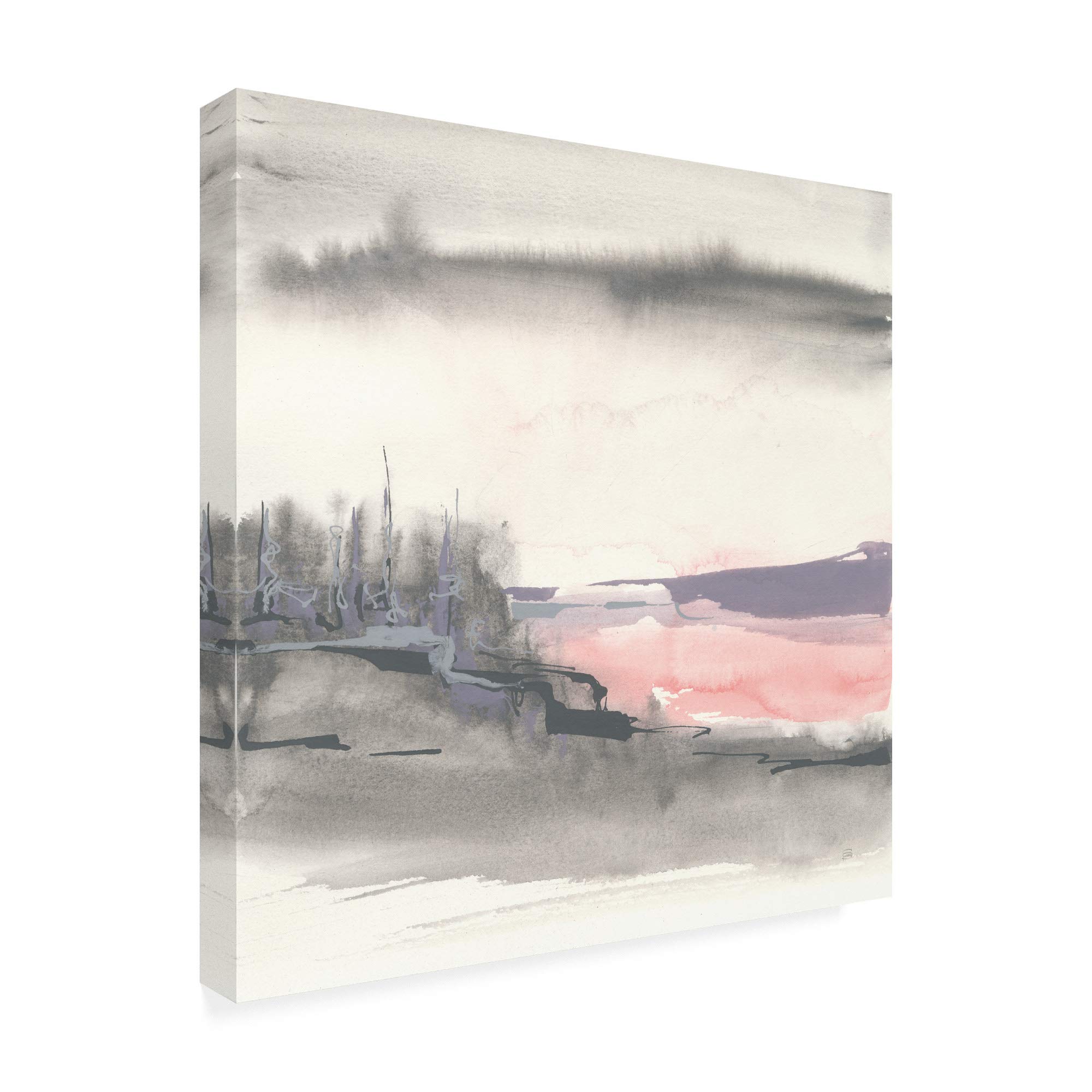 Trademark Fine Art Blush Valley I by Chris Paschke - 18x18 Inch Canvas Wall Art - Perfect for Living Room, Bedroom & Office Decor